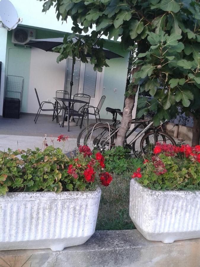 Sea View Apartment Zadar Bagian luar foto