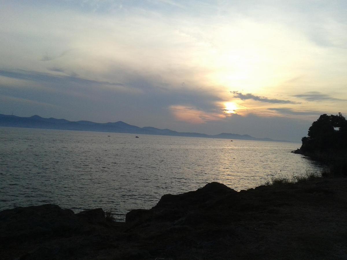 Sea View Apartment Zadar Bagian luar foto